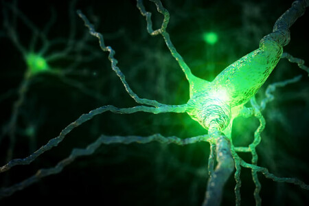 Neurona Alzheimer