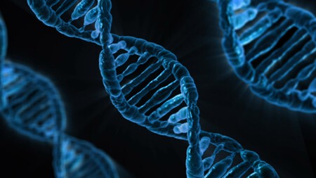 Dna 163466 1920