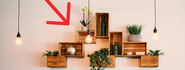 Si tus plantas no reciben luz natural, esta es la manera fácil y económica de resolverlo 