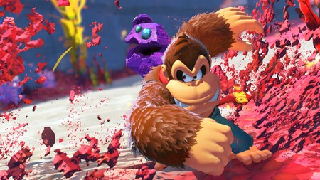 DK Bananza