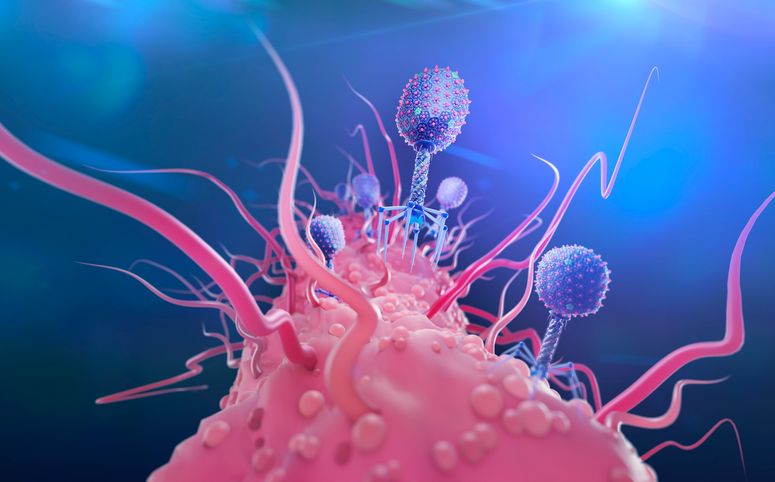 Un bacteriófago atacando una bateria de E.coli.