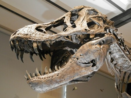 Dinosaur 2628309 1280