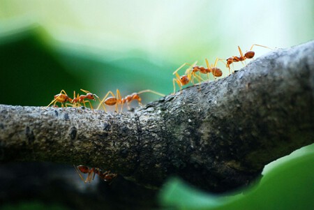 Pexels Poranimm Athithawatthee 284222 842401