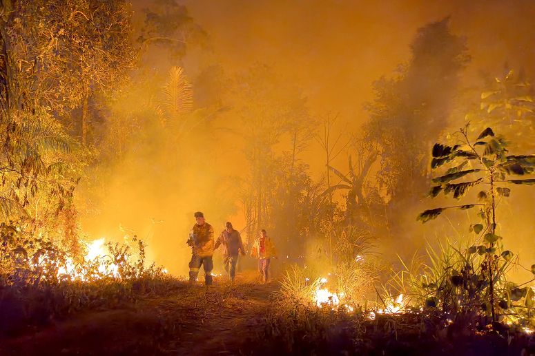 incendios forestales