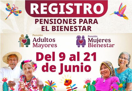 Registro Bienestar