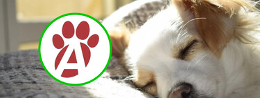 Farmacias del Ahorro para mascotas en México, con orientación veterinaria gratis por internet