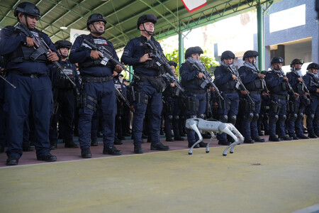 Perro robot
