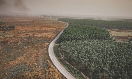 Soluciones Contra La Deforestacion De Bosques Tropicales 1024x614 Jpg