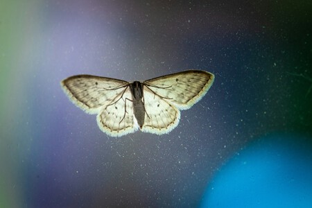 Max Kleinen 9xmr8baomb0 Unsplash