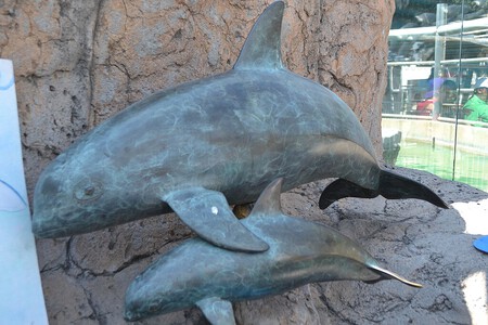 Vaquita Marina 2