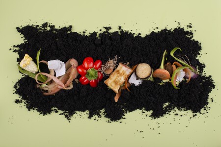Composicion Del Abono Base De Alimentos Podridos