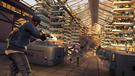 watch dogs