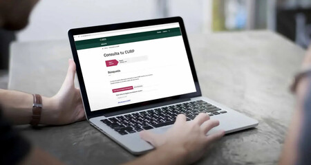 Consulta Curp