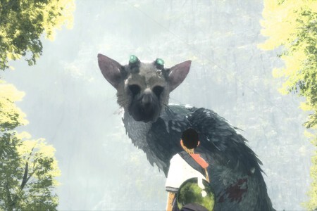 the last guardian
