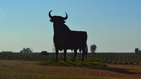 Toro De Osborne