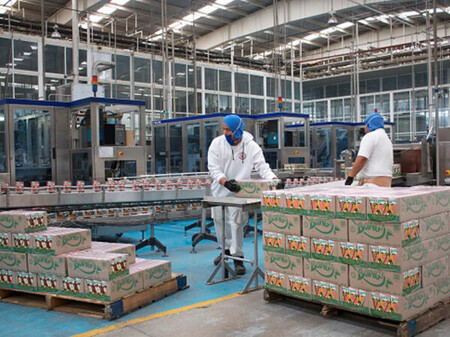 Imagen Pascual 03 600x449