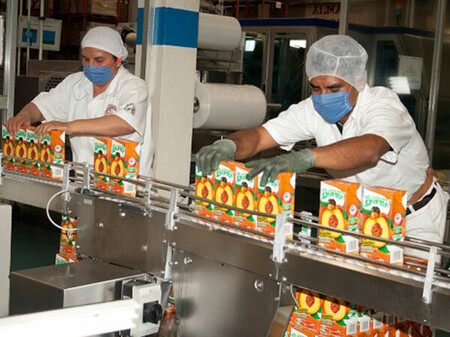 Imagen Pascual 05 600x449