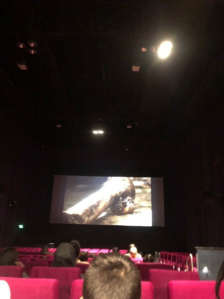 The Photo Was Taken At