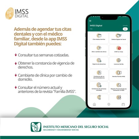 App Imss Digital
