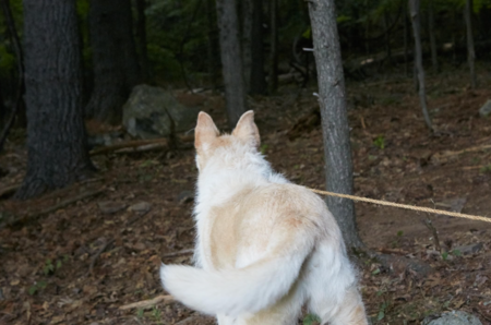 Captura De Pantalla 2025 12 12 152409