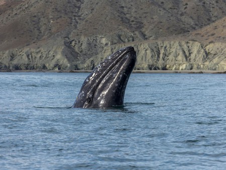 Post De Facebook Frase Acuarela Azul 1200 X 900 Px 1