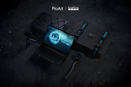 ProArt GoPro Edition (PX13)