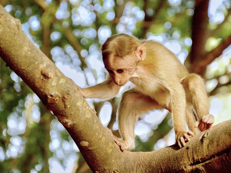 Post De Facebook Frase Acuarela Azul 1200 X 900 Px 1