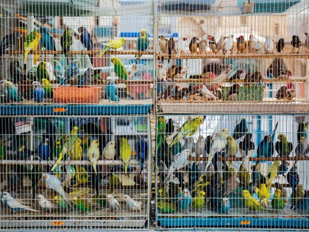 Post De Facebook Frase Acuarela Azul 1200 X 900 Px 2