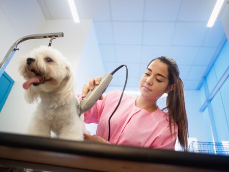 Post De Facebook Frase Acuarela Azul 1200 X 900 Px 3