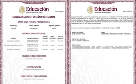 Sep Constancia De Situacion Profesional