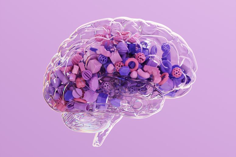 Concepto de cerebro humano.