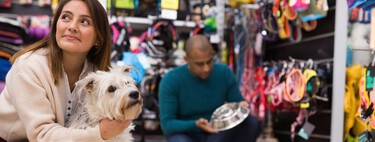 El boom de tiendas para mascotas en México explica algo claro: hoy nos importan más que nunca