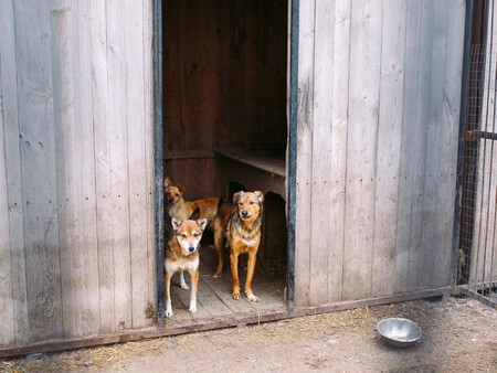 Post De Facebook Frase Acuarela Azul 1200 X 900 Px 5