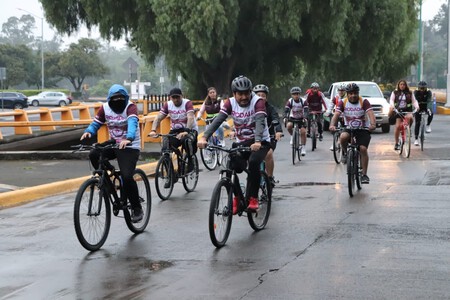 Ciclistas Cdmx Semaforos