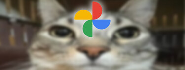 Tu galería ahora es una interminable fuente de memes: Google Fotos convierte tus fotos en memes con IA