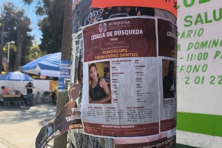 Ficha De Busqueda Persona Desaparecida