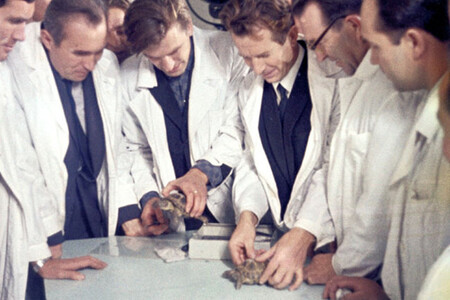 Los científicos con las tortugas en sus manos.