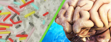 Los microplásticos son un problema que no deja de empeorar: ahora los han encontrado en el cerebro humano