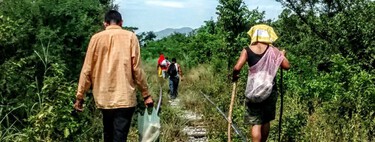 La ley laboral en México obliga a empresas a contratar en su mayoría mexicanos: Morena quiere cambiar esa regla