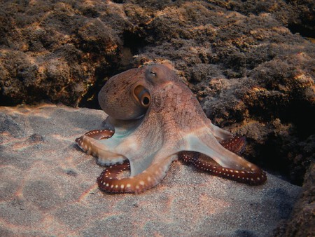 Post De Facebook Frase Acuarela Azul 1200 X 900 Px 4