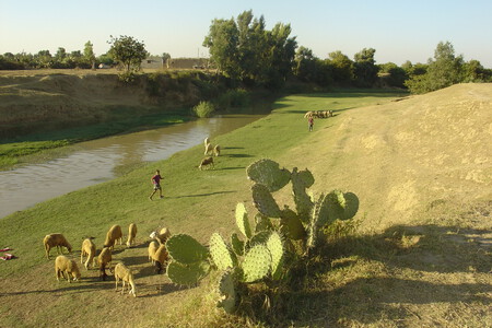 Marruecos reverdece tras siete años de sequía: lluvias 54% superiores a la media
