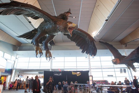Eagles Wellington Airport