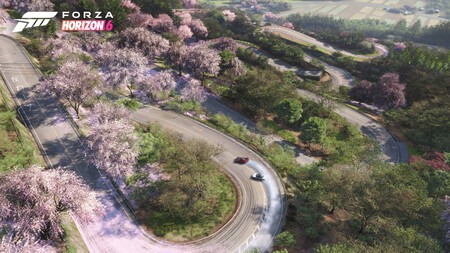 Forza 11