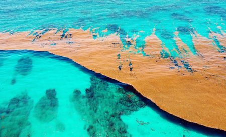 Mar Sin Costa