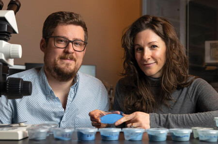 Investigadores Con Frascos De Azul Egpcio
