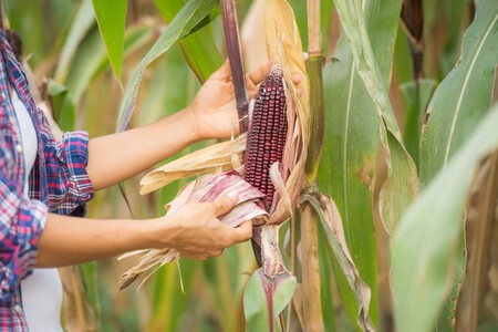 Mexico Consume Mas Agua Hace 12 Anos Campo Sigue Usando Mayor Parte Xataka Mexico 2