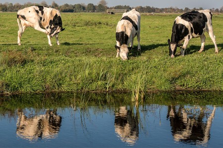 Mexico Consume Mas Agua Hace 12 Anos Campo Sigue Usando Mayor Parte Xataka Mexico 3