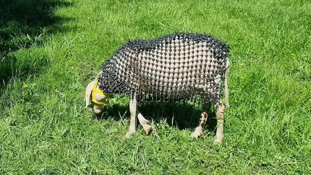 Ovejas Armadas