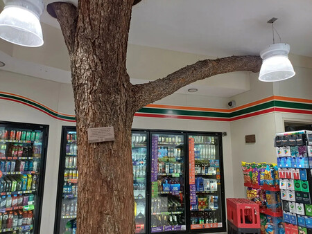 7 eleven arbol