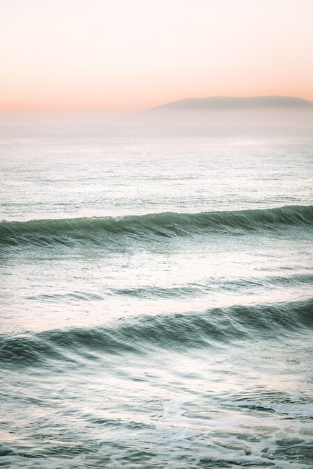 Timmossholder Ocean 8032724 1920